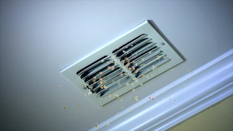 Best Commercial HVAC Duct Cleaning  in Belleair Beach, FL